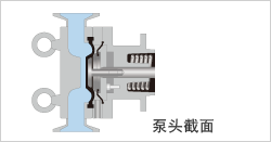 泵头截面