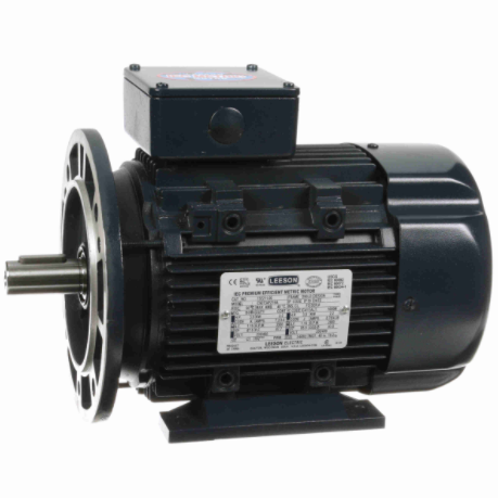 REGAL (富豪) Leeson 3 HP 通用型电机 TEFC - 192211.00